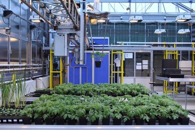 Plant phenotyping as a scientific tool