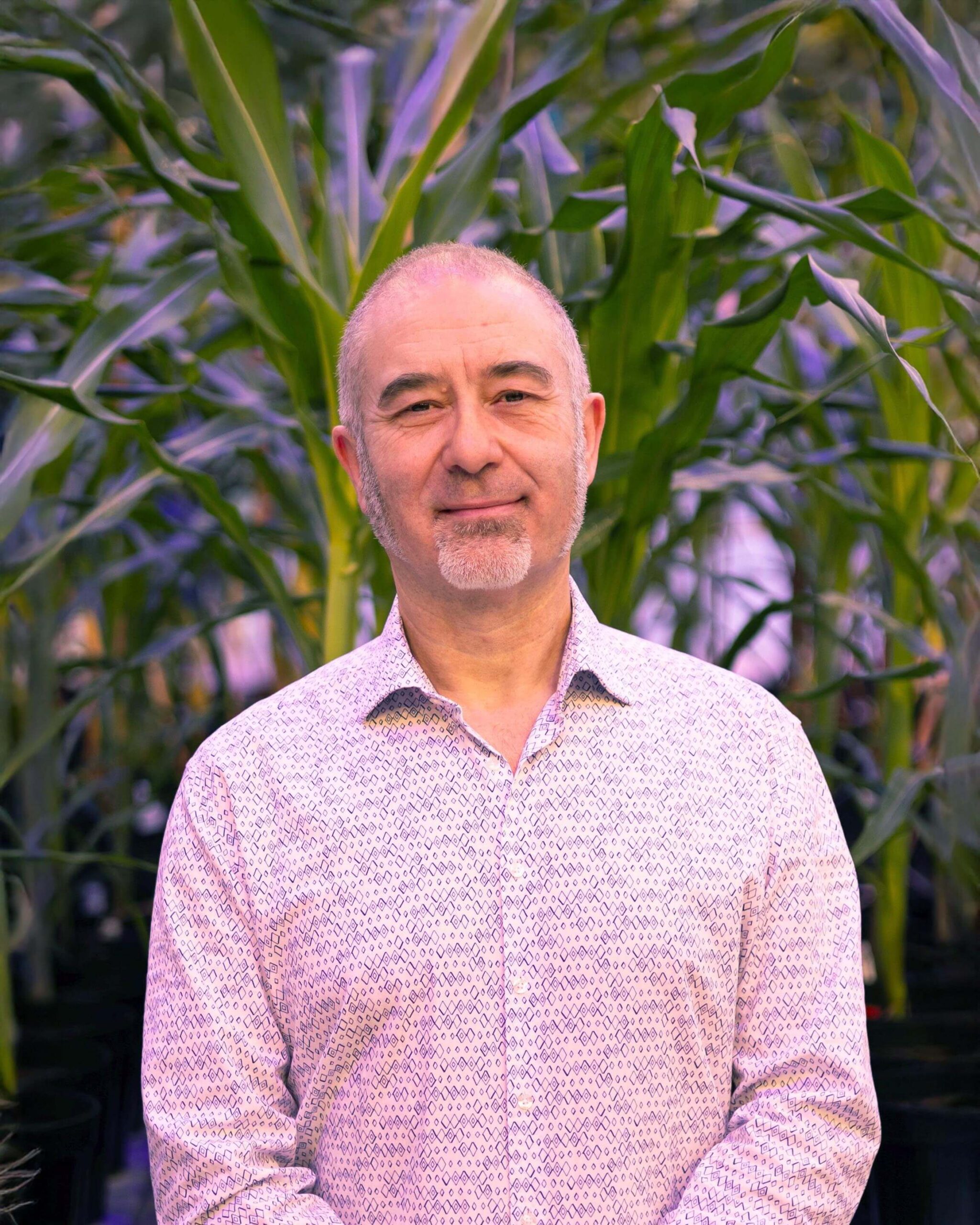 Enric Belles-Boix